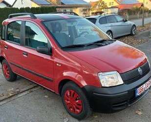 Fiat Panda Gebrauchtwagen