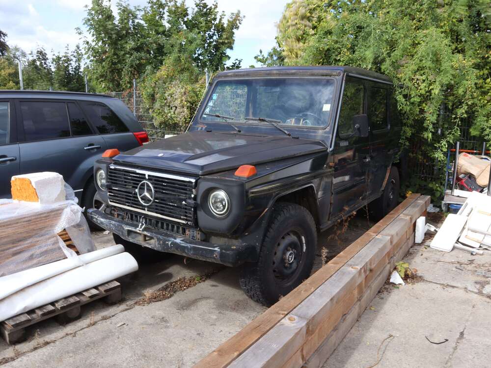 G 300