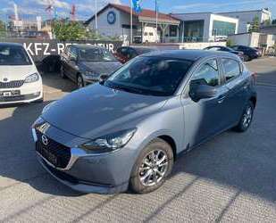 Mazda 2 Gebrauchtwagen