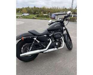 Harley Davidson Iron 883 Gebrauchtwagen