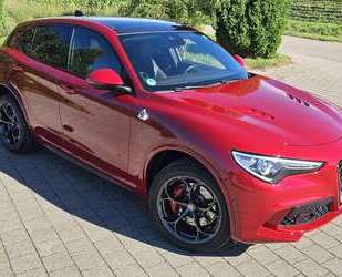 Suzuki Stelvio 