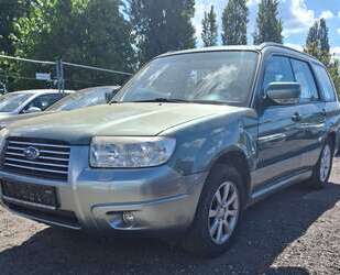 Subaru Forester Gebrauchtwagen