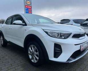 Kia Stonic Gebrauchtwagen