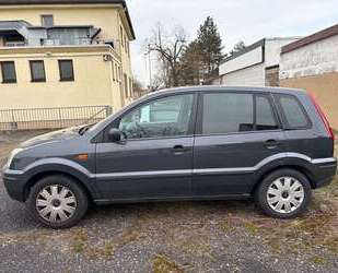 Ford Fusion Gebrauchtwagen