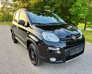 Fiat Panda Gebrauchtwagen
