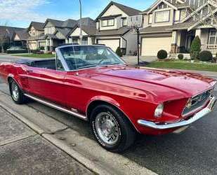 Ford Mustang Gebrauchtwagen