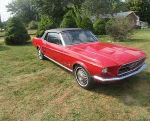 Ford Mustang Gebrauchtwagen