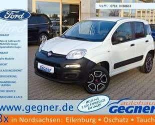Fiat Panda Gebrauchtwagen