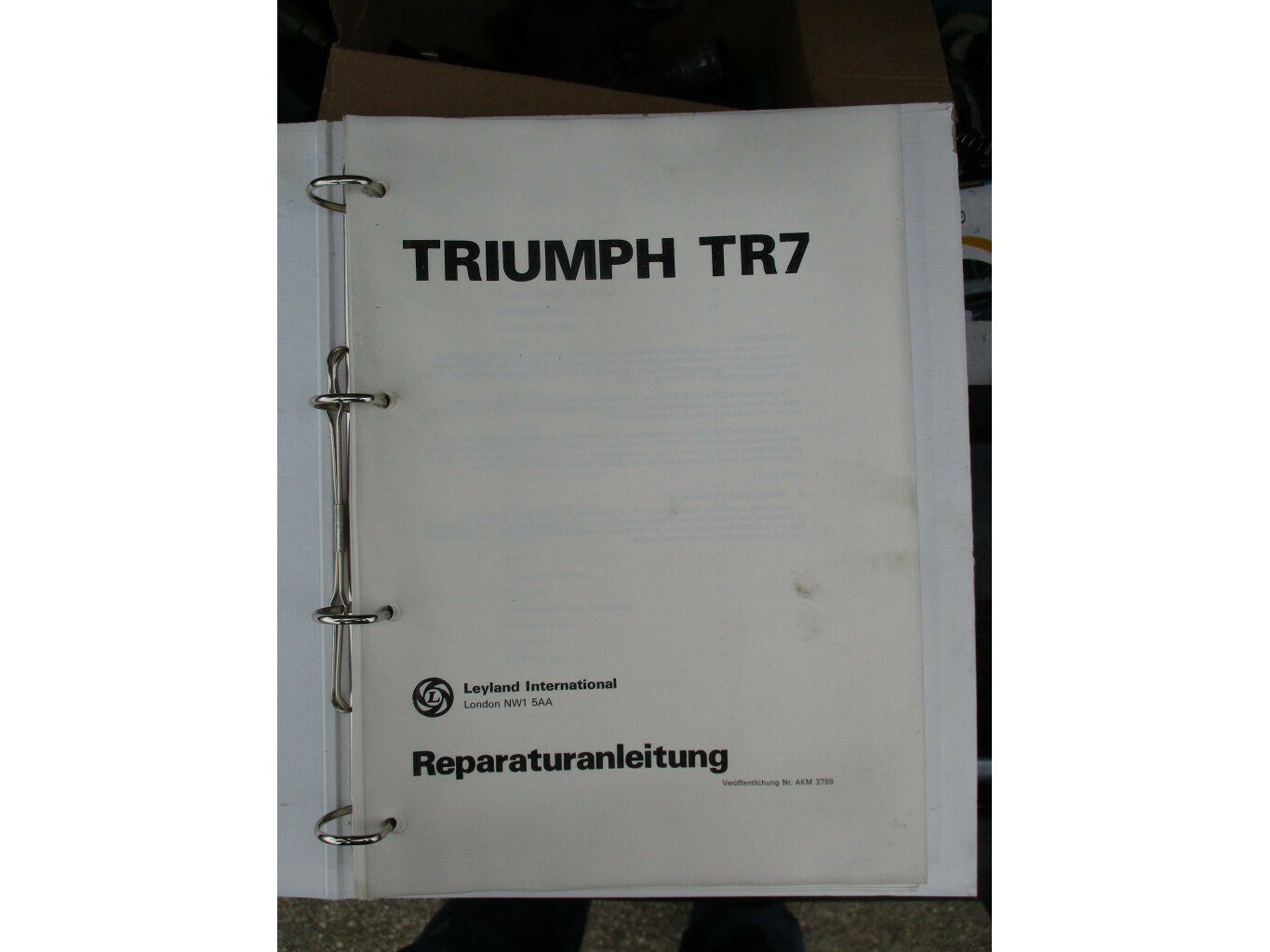 Bild 18