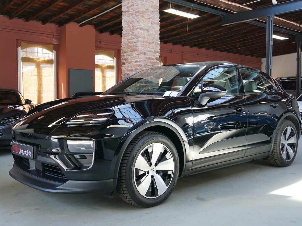 Macan