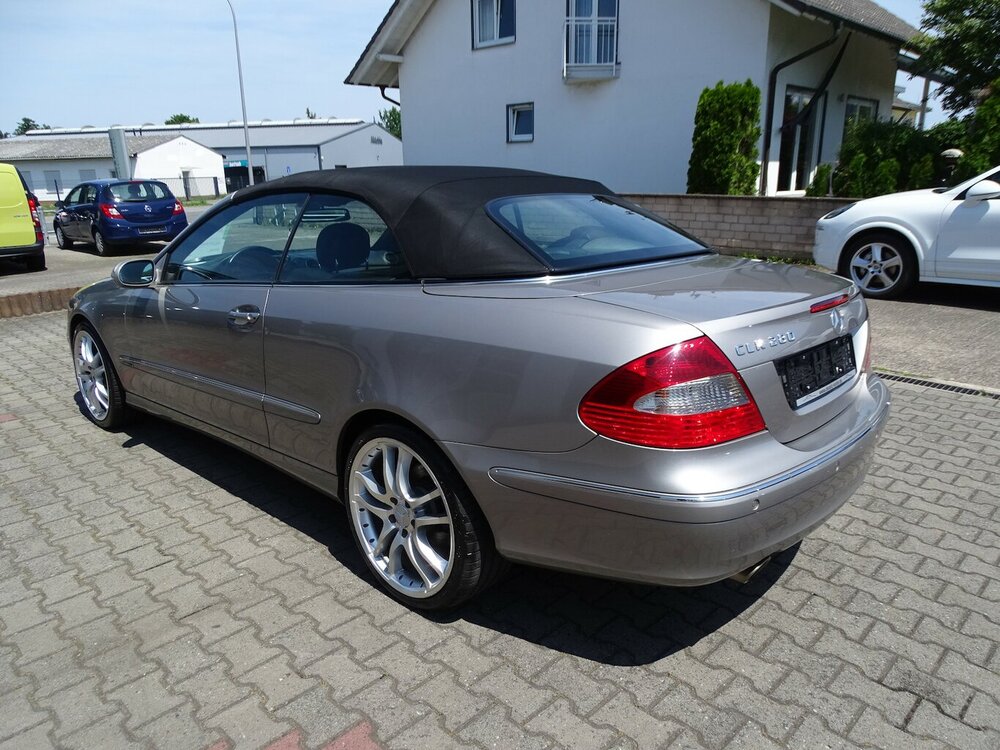 Bild 19