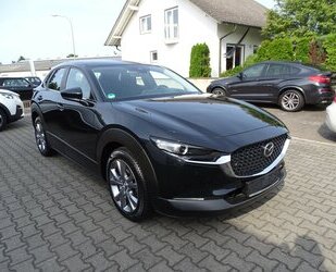 Mazda CX-30 Skyactive-G 2,0 M Hybrid Selection 2WD Autom Gebrauchtwagen