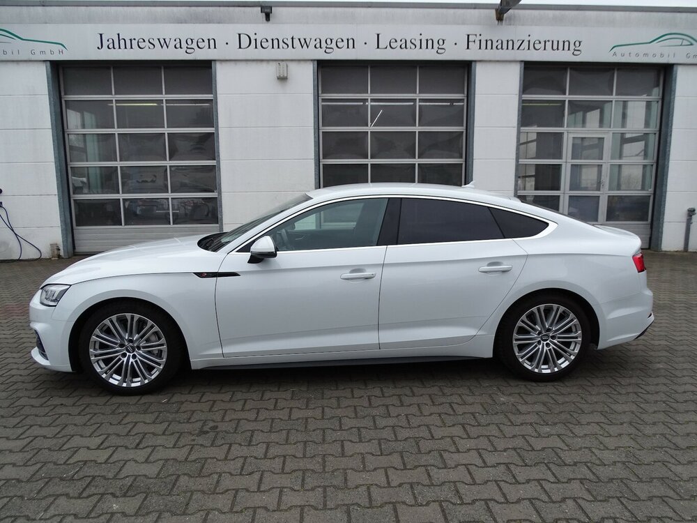 Bild 12