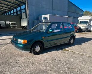 VW Polo 
