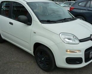 Fiat Panda Gebrauchtwagen