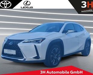 Lexus UX Gebrauchtwagen