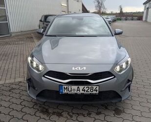 Kia ceed / Ceed Gebrauchtwagen