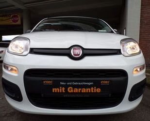 Fiat Panda Gebrauchtwagen
