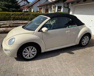 VW Beetle Gebrauchtwagen