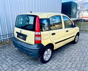 Fiat Panda Gebrauchtwagen