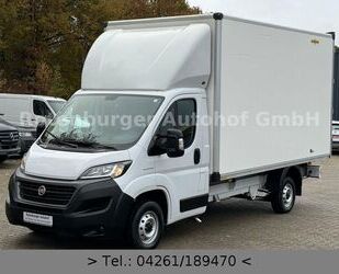 Fiat Ducato Gebrauchtwagen