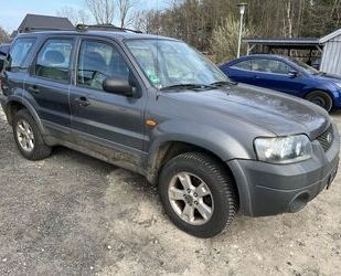 Ford Maverick Gebrauchtwagen