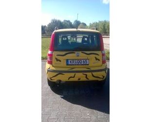 Audi Panda 