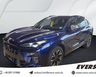 Cupra Terramar Gebrauchtwagen