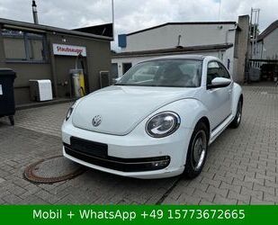 VW Beetle Gebrauchtwagen