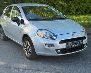 Fiat Punto Gebrauchtwagen