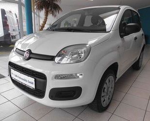 Fiat Panda Gebrauchtwagen