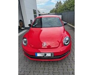 VW Beetle Gebrauchtwagen