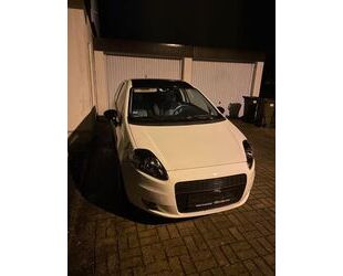 Fiat Punto Gebrauchtwagen
