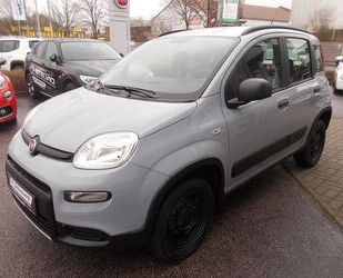 Fiat Panda Gebrauchtwagen