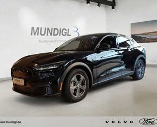 Ford Mustang Mach-E Gebrauchtwagen