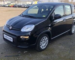 Fiat Panda Gebrauchtwagen