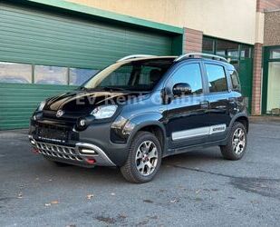 Fiat Panda Gebrauchtwagen