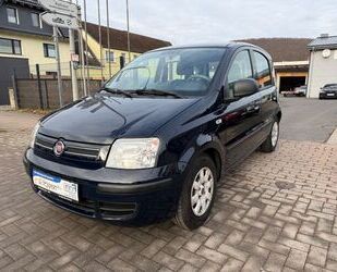 Fiat Panda Gebrauchtwagen