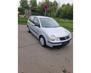 VW Polo Gebrauchtwagen
