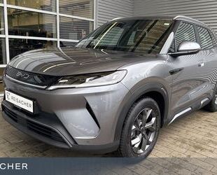 BYD ATTO 2 Gebrauchtwagen