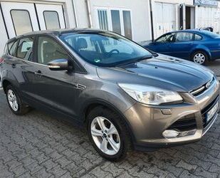 Ford Kuga Gebrauchtwagen