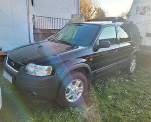 Ford Maverick Gebrauchtwagen