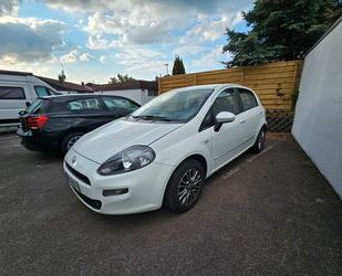 Fiat Punto Gebrauchtwagen