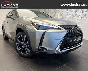 Lexus UX Gebrauchtwagen