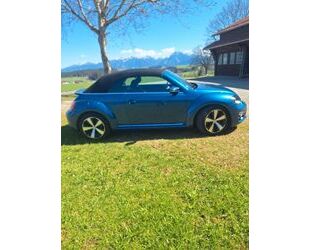 VW Beetle Gebrauchtwagen