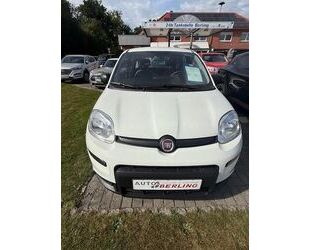 Fiat Panda Gebrauchtwagen