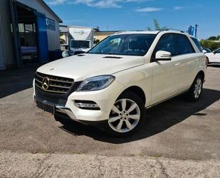 Mercedes-Benz ML 350 Gebrauchtwagen