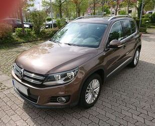 VW Tiguan Gebrauchtwagen