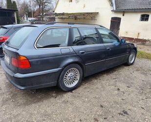 BMW 523 Gebrauchtwagen