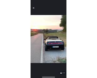 Volvo Spider 